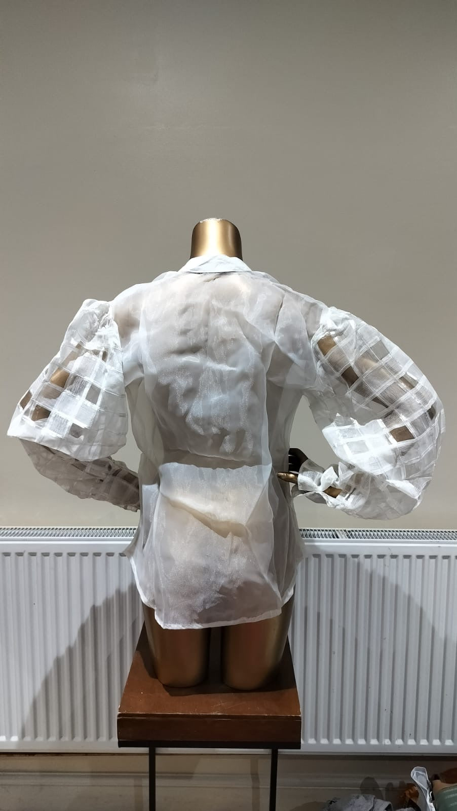 Balloon Sleeve Organza Shirt