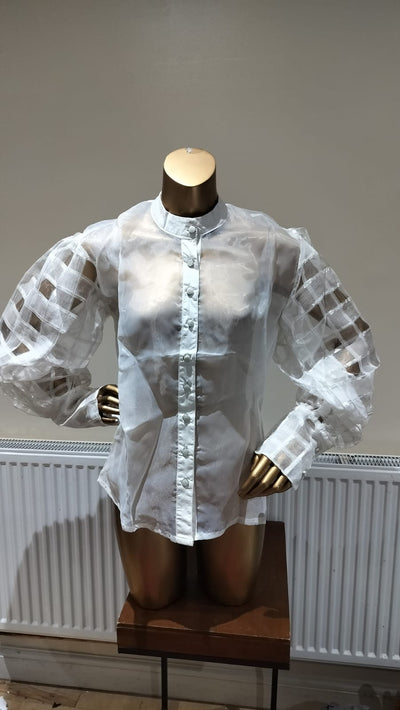 Balloon Sleeve Organza Shirt